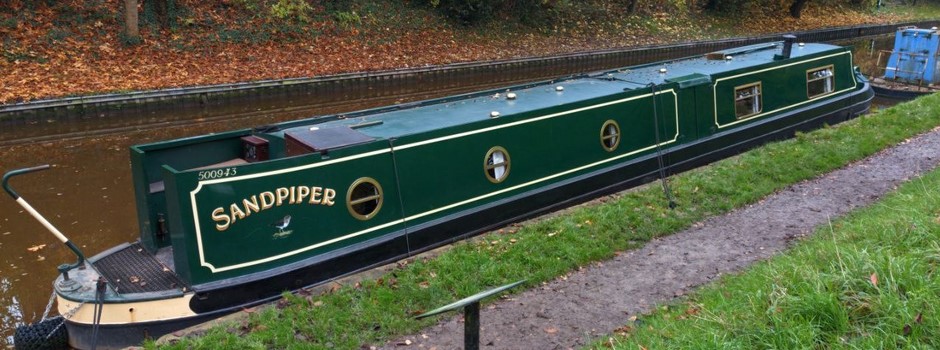 sandpiper01.jpg