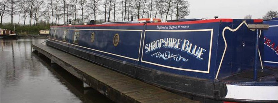 shropshire blue (1).jpg